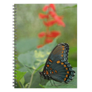 Caderno Espiral Bela Borboleta Notebook
