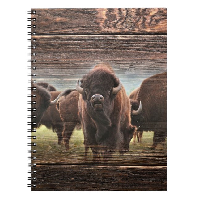 Caderno Espiral Bela Búfalo Herd (Frente)