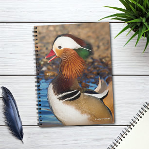 Caderno Espiral Bela conversa sobre o Pato Mandarim nas rochas
