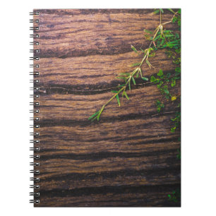 Caderno Espiral bela madeira velha