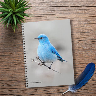 Caderno Espiral Bela Montanha Bluebird