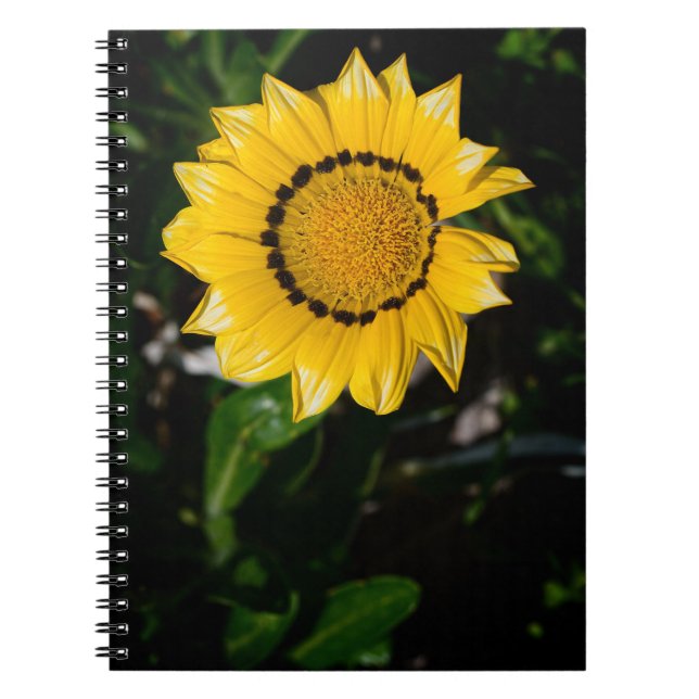 Caderno Espiral Bela Notebook Amarelo (Frente)