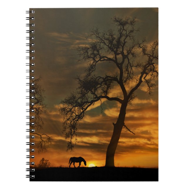 Caderno Espiral Bela Notebook de Cavalo (Frente)