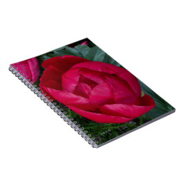 Caderno Espiral Bela Pensão Vermelha