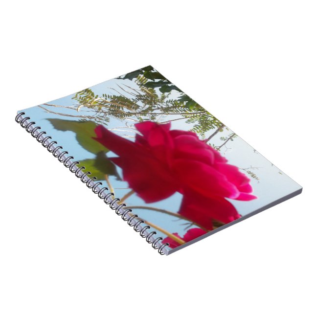 Caderno Espiral Bela Rosa Celestial Adorável: Vermelho Contra Azul (Lado Direito)