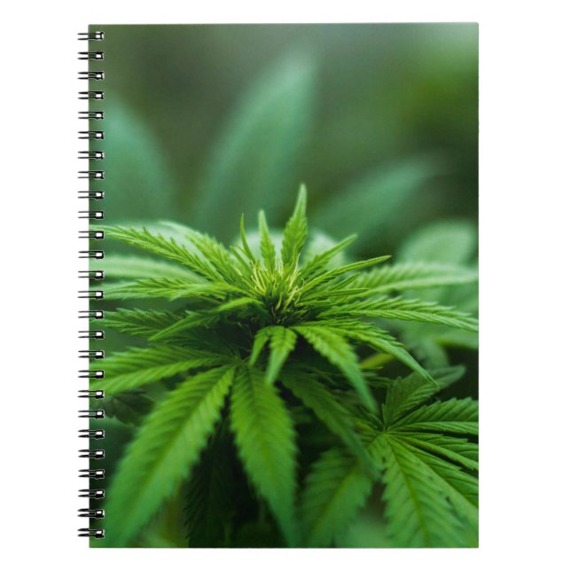 Caderno Espiral Bela Semana (Frente)
