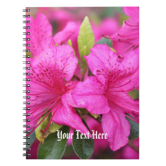 Caderno Espiral belas flores de azálea rosa (Frente)