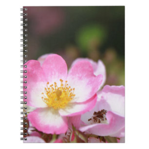 Caderno Espiral belas flores de rosa selvagem rosa para senhoras