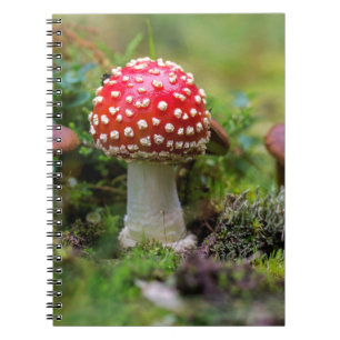 Caderno Espiral Beleza de Outono