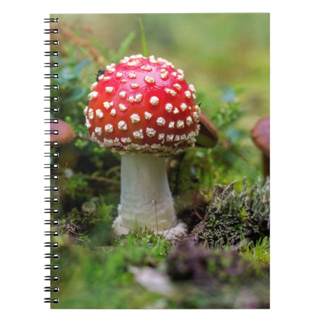 Caderno Espiral Beleza de Outono (Frente)