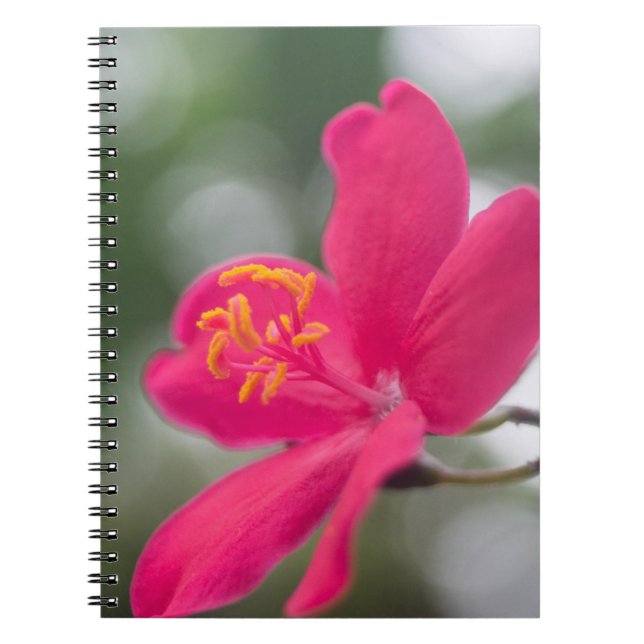Caderno Espiral Beleza de Xangai (Frente)