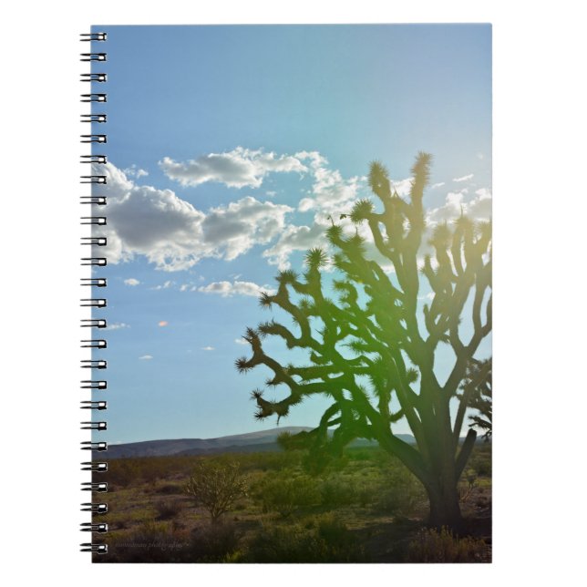 Caderno Espiral Beleza do Deserto (Frente)