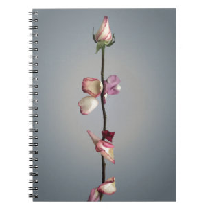 Caderno Espiral Beleza Rosa moderna e sentimento besta