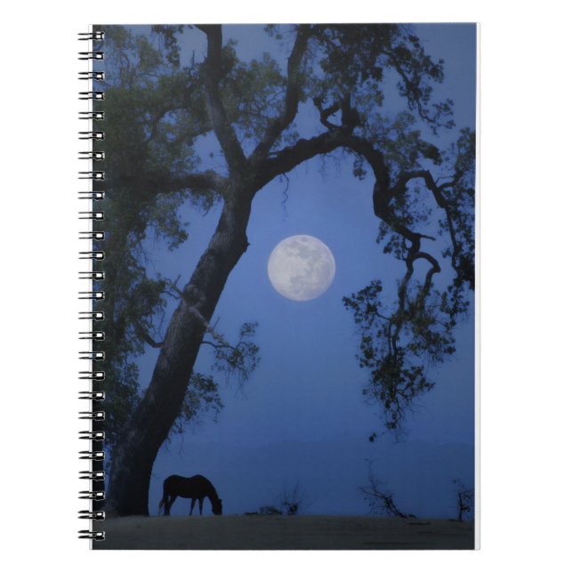 Caderno Espiral Belo Cavalo de Notebook em Viagem, Lua de Árvore d (Frente)
