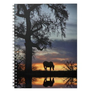 Caderno Espiral Belo Cavalo e Água no Sol