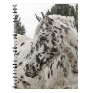 Caderno Espiral Belo Cavalo Negro e Branco Appaloosa