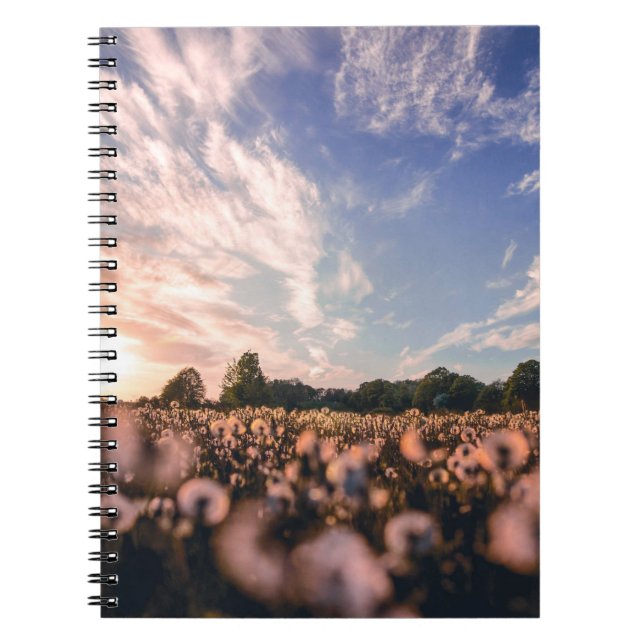 Caderno Espiral belo céu sobre o plano (Frente)
