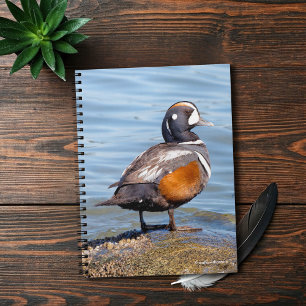 Caderno Espiral Belo Duque Harlequin na Rock