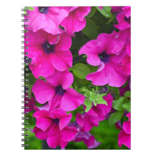 Caderno Espiral Belo impressão de petúnias roxas