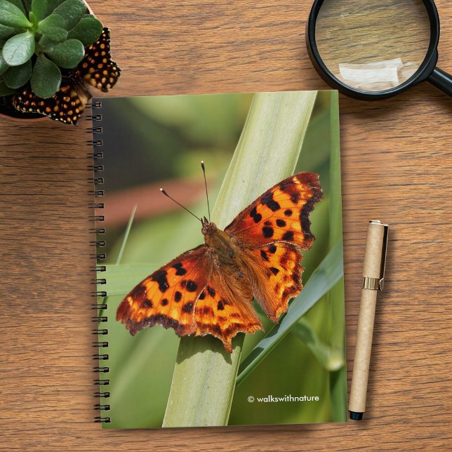 Caderno Espiral Belo Laranja Satyr Comma Butterfly (Orange Comma Satyr Butterfly in the Marsh Journal Cover Photo)