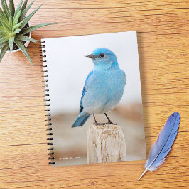 Caderno Espiral Belo pássaro-azul-de-montanha na praia