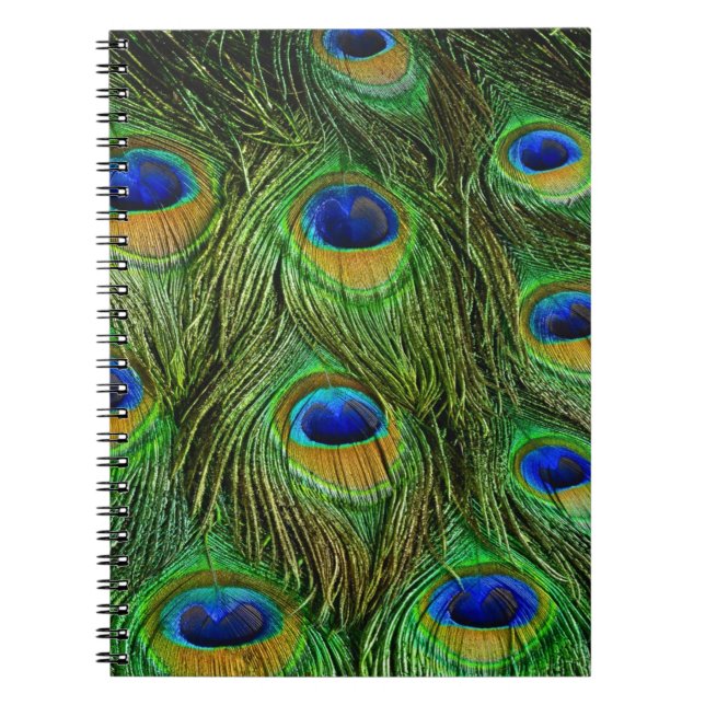Caderno Espiral Belo Penas de Peacock (Frente)