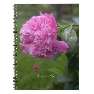 Caderno Espiral Belo Pink de Cheio