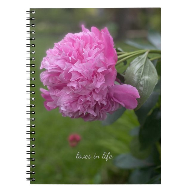 Caderno Espiral Belo Pink de Cheio (Frente)
