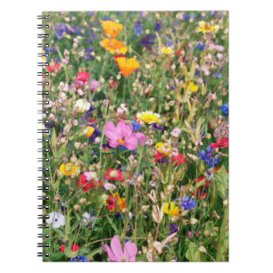 Caderno Espiral belo prado colorido de flores silvestres