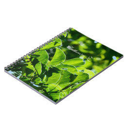 Caderno Espiral Belo primavera, folhas verdes de verão. Adicionar 