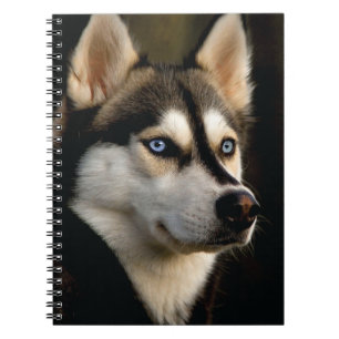 Caderno Espiral Belo Travesseiro decorativo Rouco
