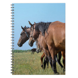 Caderno Espiral Belos Cavalos de Baía