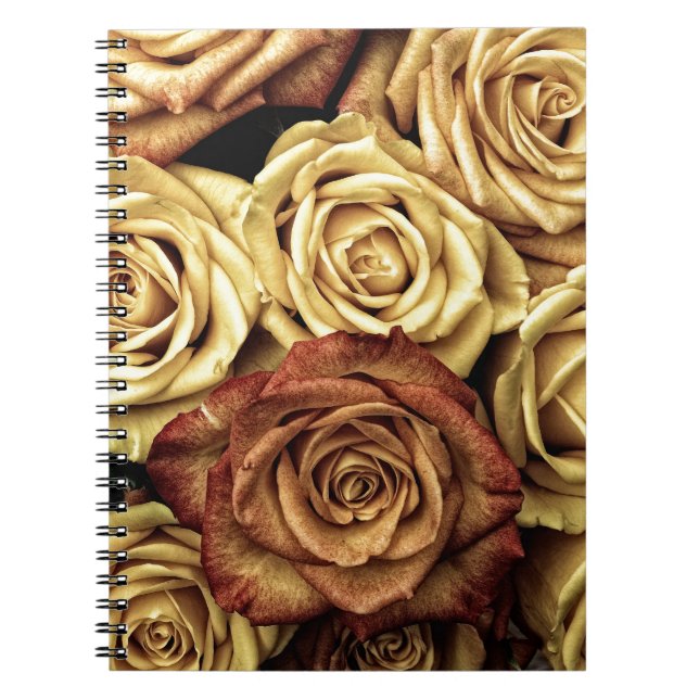 Caderno Espiral Belos Rosas (Frente)