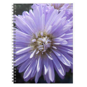 Caderno Espiral Berlinette