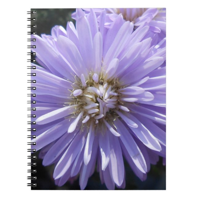 Caderno Espiral Berlinette (Frente)