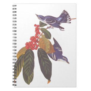 Caderno Espiral Berries Ceruleanos da Audubon com Bear Berries