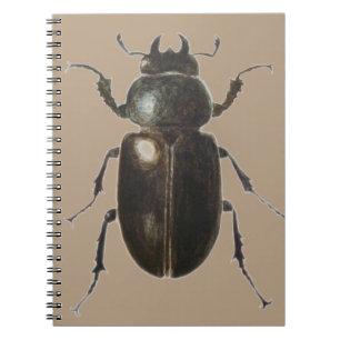 Caderno Espiral Besouro de veado 2011