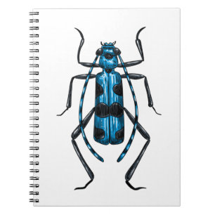 Caderno Espiral besouro Rosalia Alpina