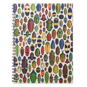 Caderno Espiral Besouros Ilustrados Coloridos