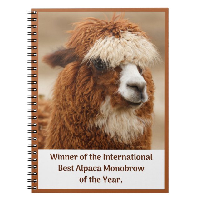 Caderno Espiral Best Alpaca Monobrow (Frente)