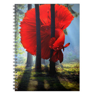 Caderno Espiral Betta Fish