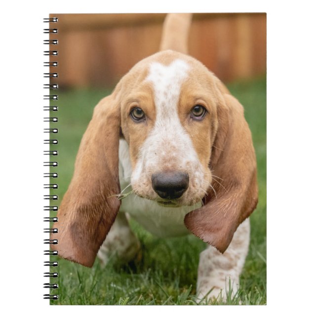 Caderno Espiral Bicho De Bebê Andando (Frente)