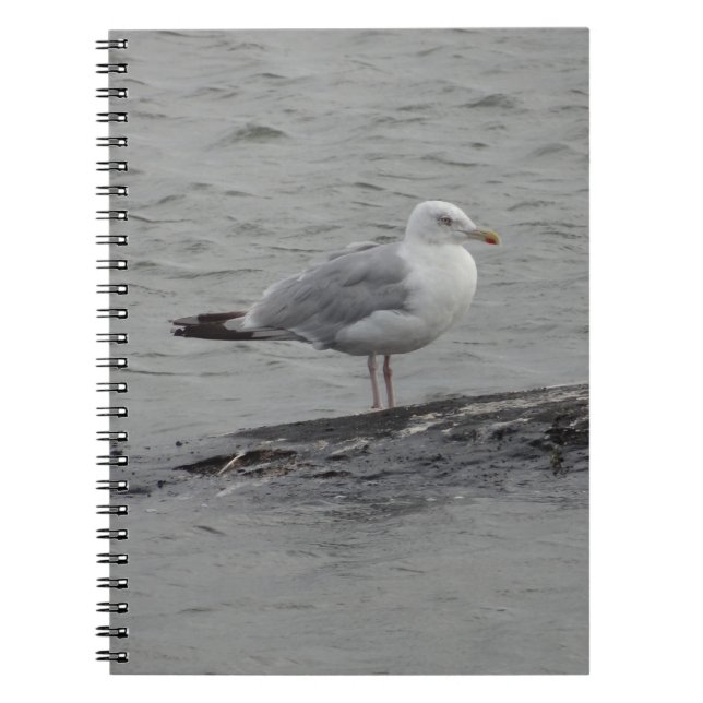 Caderno Espiral Big seagull (Frente)