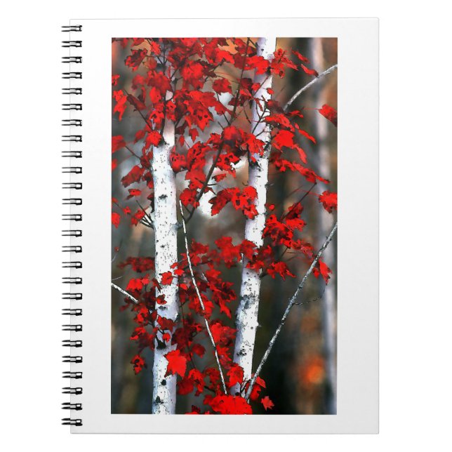 Caderno Espiral Birch#2-Notebook (Frente)
