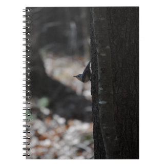 Caderno Espiral Bird Notebook