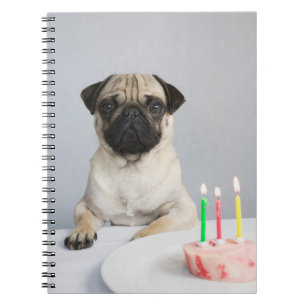 Caderno Espiral Birthday Pug