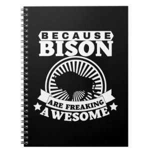 CADERNO ESPIRAL BISON