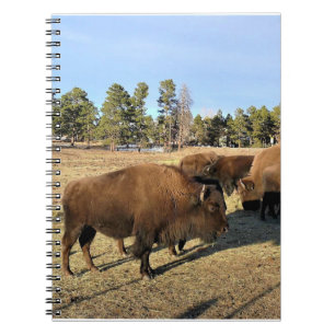 Caderno Espiral Bison no Colorado