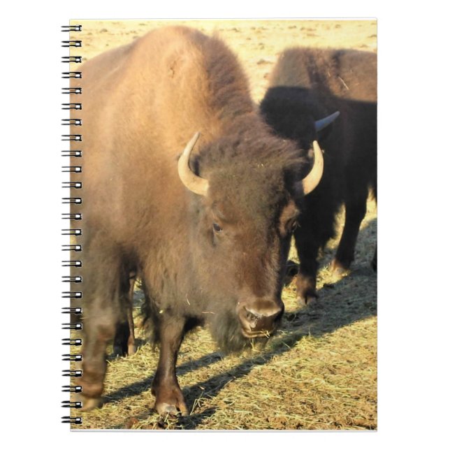 Caderno Espiral Bison no Colorado (Frente)