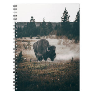 CADERNO ESPIRAL BISON ROWN NO CAMPO DE GRAMAS MARAVILHOSA DURANTE